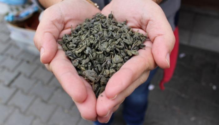 Sezonun ilk yeşil çay hasadı rekor fiyata satıldı