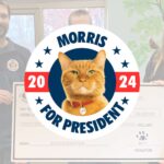 Kedi Morris, Purrfect 2024 kampanyası için Oscar’ı seçti