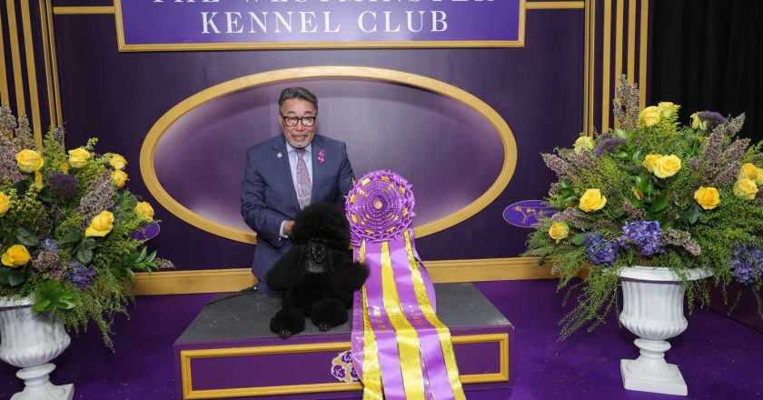 Westminster Köpek Gösterisi 2025 için Ultimate Rehber